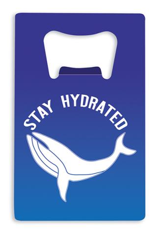 Bottle Opener - Stay Hydrated