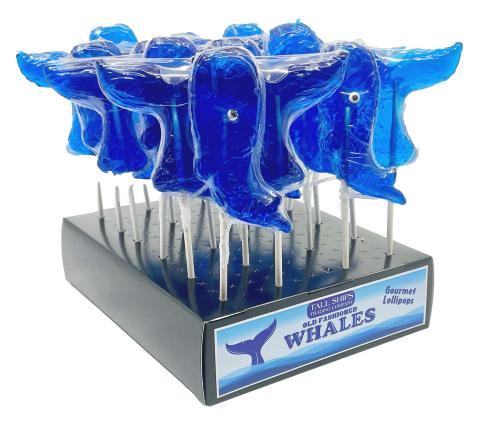 Candy Lollipop Display Box - Whales