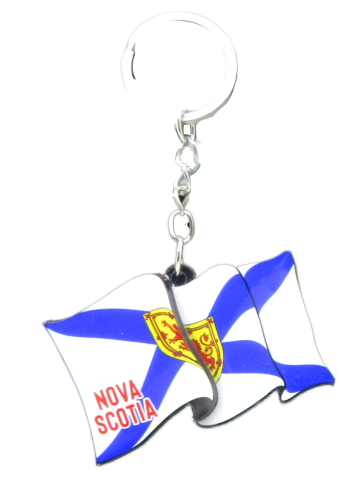 KTWD1-NS1131 Key Tag